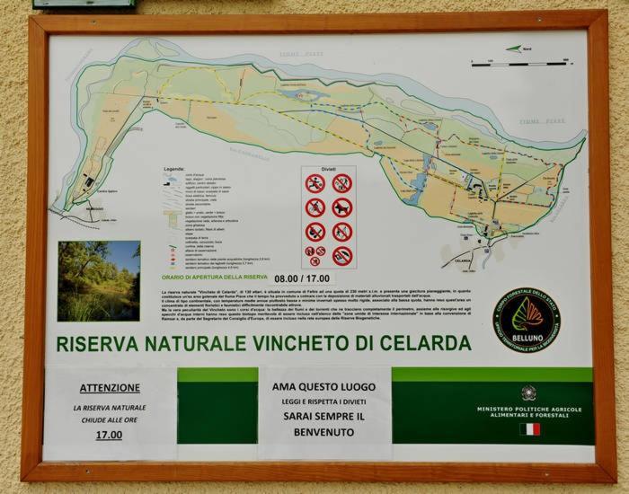 Residenza Letizia Apartman Nemeggio Kültér fotó